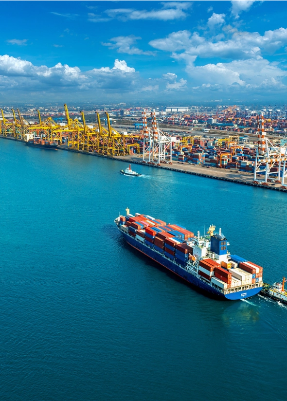 sector-international-trade